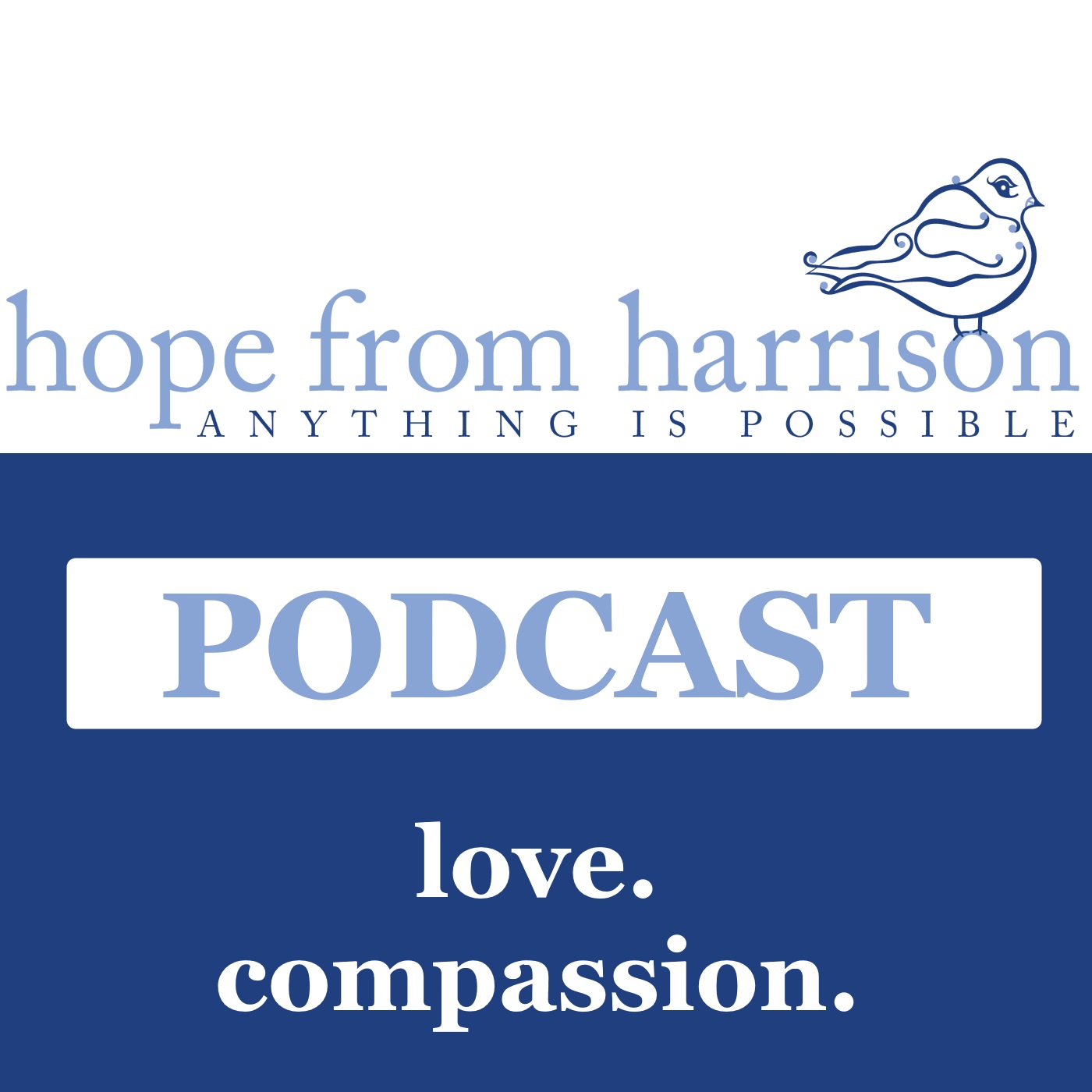 The Hope From Harrison Podcast: Non-Profit | Children With Critical Needs